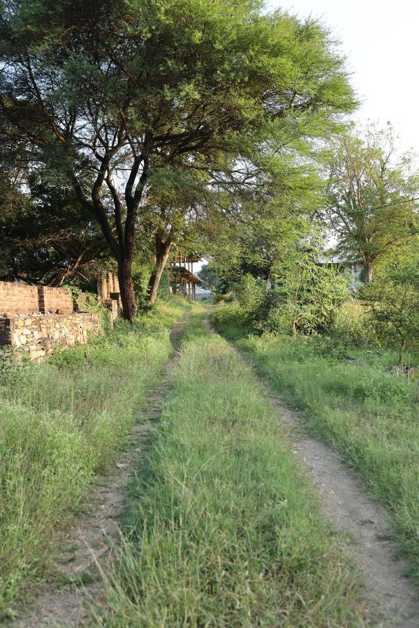 Vache Farm Stay Udaipur Exterior foto